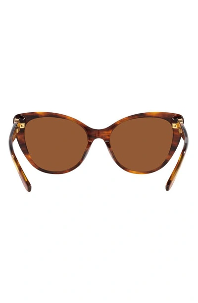 Shop Ralph Lauren 56mm Cat Eye Sunglasses In Havana