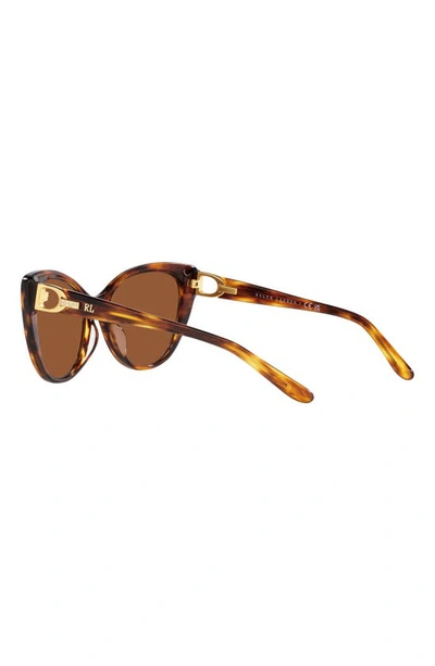 Shop Ralph Lauren 56mm Cat Eye Sunglasses In Havana
