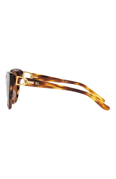 Shop Ralph Lauren 56mm Cat Eye Sunglasses In Havana