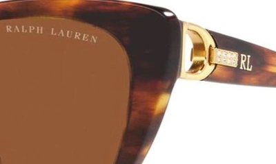 Shop Ralph Lauren 56mm Cat Eye Sunglasses In Havana