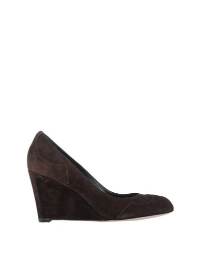 Shop Sergio Rossi In Dark Brown