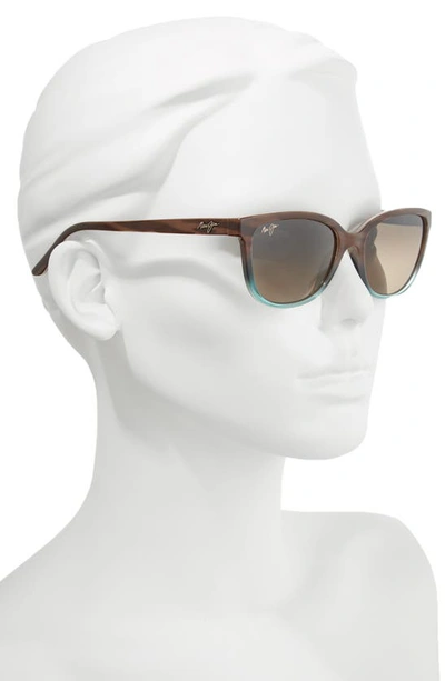 Shop Maui Jim Honi 54mm Polarizedplus2® Cat Eye Sunglasses In Sandstone With Blue/ Bronze