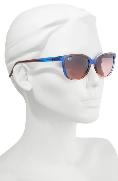 Shop Maui Jim Honi 54mm Polarizedplus2® Cat Eye Sunglasses In Sunset/ Maui Rose