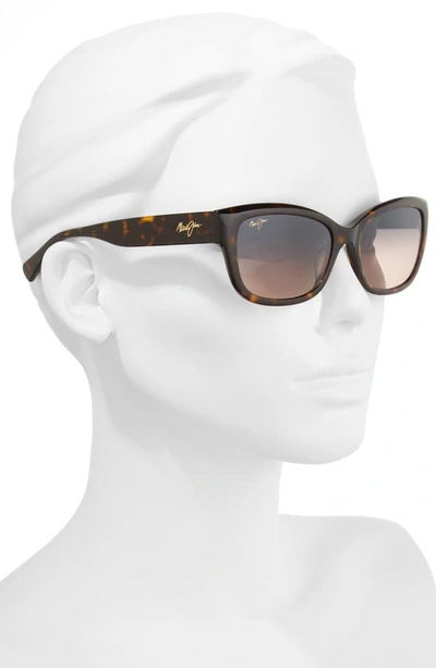 Shop Maui Jim Plumeria 55mm Polarizedplus2® Cat Eye Sunglasses In Dark Tortoise/ Maui Rose