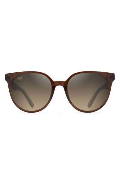 Shop Maui Jim Mehana 55mm Polarized Plus2® Cat Eye Sunglasses In Rootbeer
