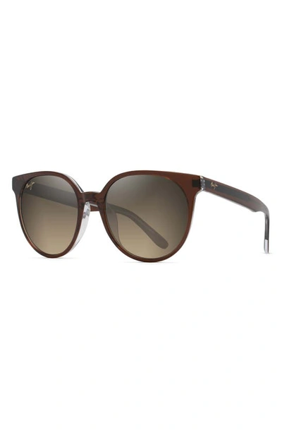 Shop Maui Jim Mehana 55mm Polarized Plus2® Cat Eye Sunglasses In Rootbeer