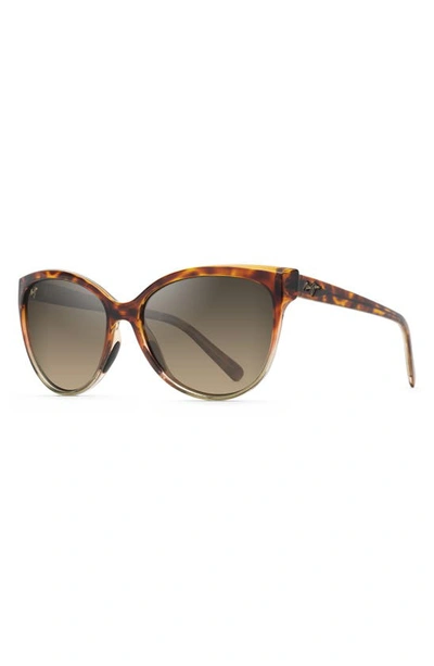Shop Maui Jim 'olu 'olu 57mm Polarized Cat Eye Sunglasses In Tortoise With Tan/ Hcl Bronze