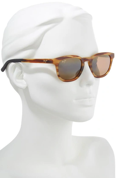 Shop Maui Jim Koko Head 48mm Small Polarizedplus2® Sunglasses In Matte Tortoise/ Hcl Bronze