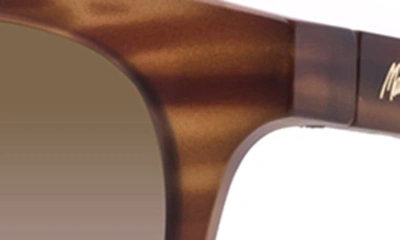 Shop Maui Jim Koko Head 48mm Small Polarizedplus2® Sunglasses In Matte Tortoise/ Hcl Bronze