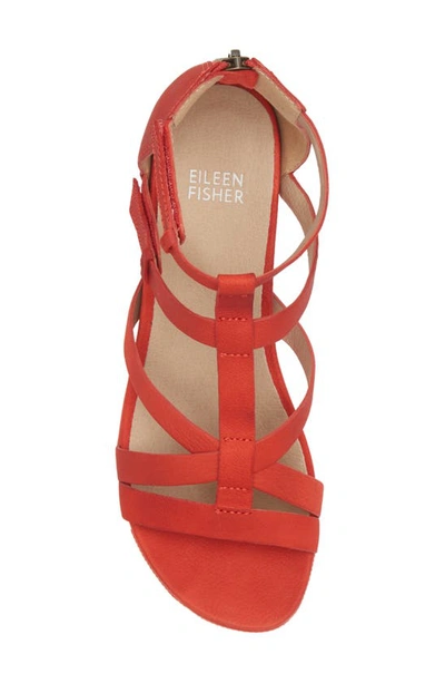 Shop Eileen Fisher Sola Platform Sandal In Red Poppy