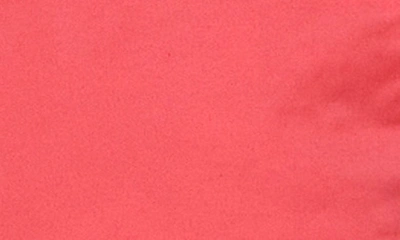 Robert Graham Lonestar Short In Coral