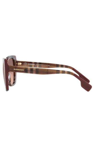 Shop Burberry Meryl 54mm Gradient Cat Eye Sunglasses In Bordeaux