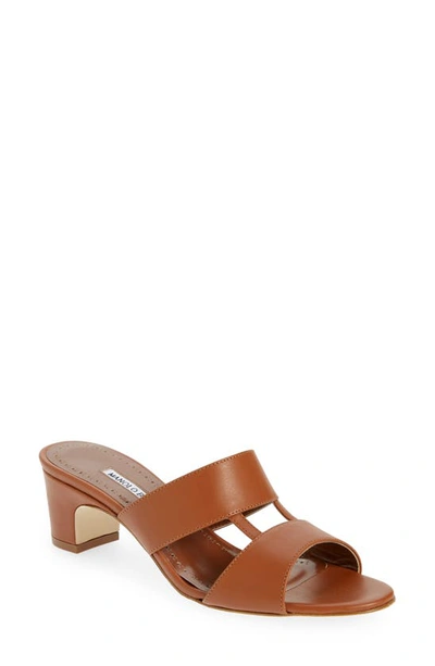 Shop Manolo Blahnik Chus Block Heel Slide Sandal In Brown
