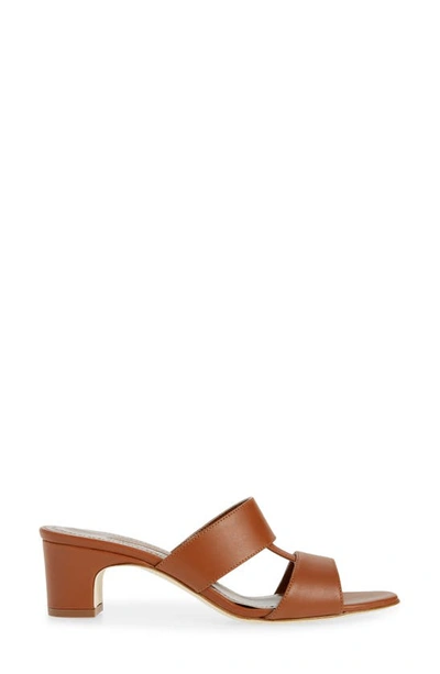 Shop Manolo Blahnik Chus Block Heel Slide Sandal In Brown