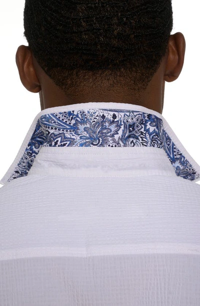 Robert Graham Shark Bite Short Sleeve Button Down Shirt In White