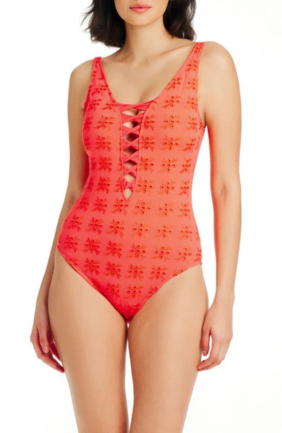 Shop Bleu By Rod Beattie Eyes Wide Open Broderie Anglaise One-piece In Coral Gables