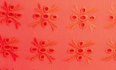 Bleu Rod Beattie Eyes Wide Open Broderie Anglaise One-piece In Coral Gables