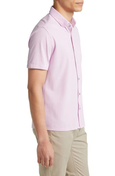 Shop Stone Rose Performance Piqué Short Sleeve Button-up Shirt In Lavender