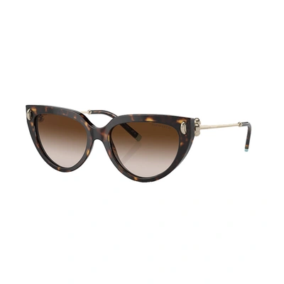 Shop Tiffany & Co Tf 4195 80153b 54mm Womens Cat-eye Sunglasses In Brown