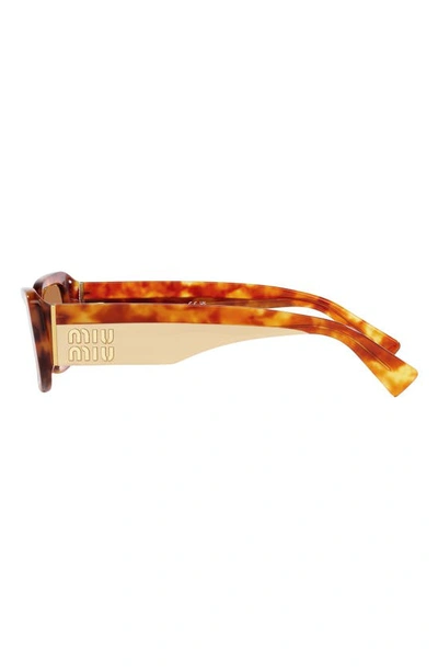 Miu Miu Womens Brown Mu 08ys Square-frame Tortoiseshell Acetate Sunglasses In Lite Havana
