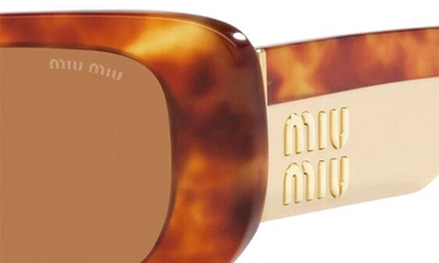 Miu Miu Womens Brown Mu 08ys Square-frame Tortoiseshell Acetate Sunglasses In Lite Havana