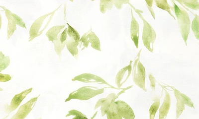 Shop Sferra Procida Floral Cotton Percale Duvet Cover In Kiwi