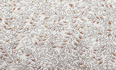 Shop Coyuchi Print Organic Cotton Percale Sheet Set In Fossil Vines