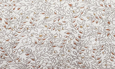 Coyuchi Print Organic Cotton Percale Sheet Set In Fossil Vines