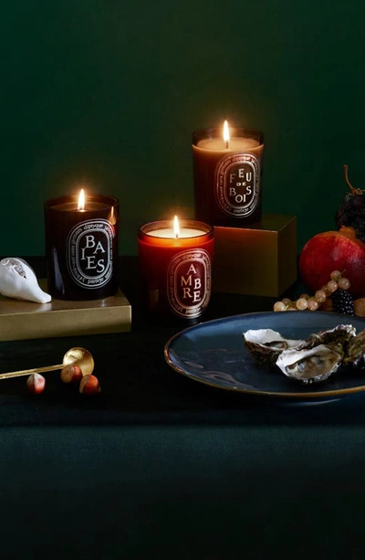 Diptyque Mini Candle Baies 70g In Clear Vessel
