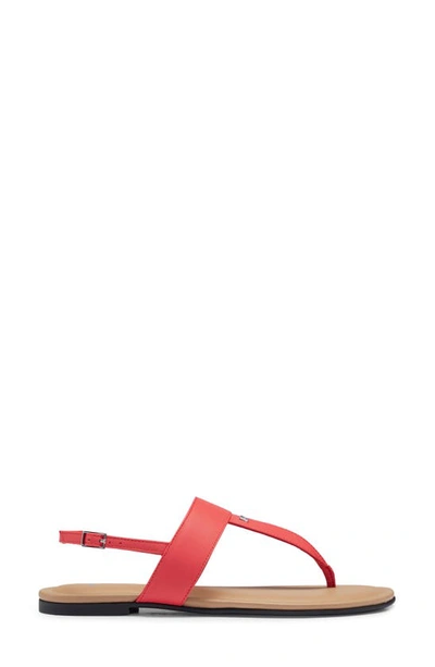 Hugo Boss Jo Slingback Sandal In Bright Pink