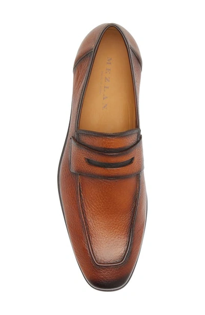 Shop Mezlan Deer Penny Loafer In Cognac