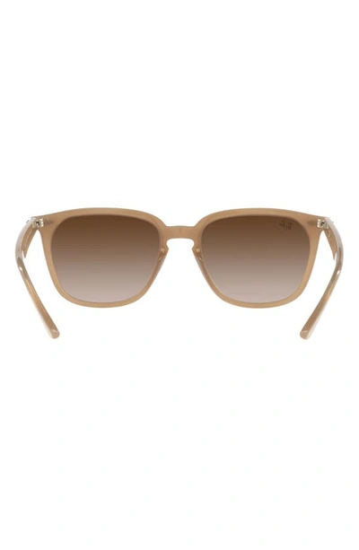 Ray Ban 55mm Gradient Square Sunglasses In Turtledove/ Gradient Brown