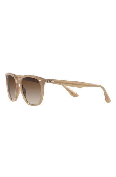 Ray Ban 55mm Gradient Square Sunglasses In Turtledove/ Gradient Brown