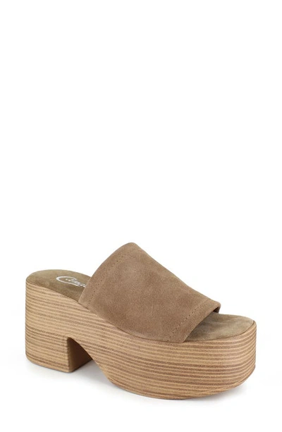 Shop Candies Candie's Ophelia Platform Slide Sandal In Taupe Suede