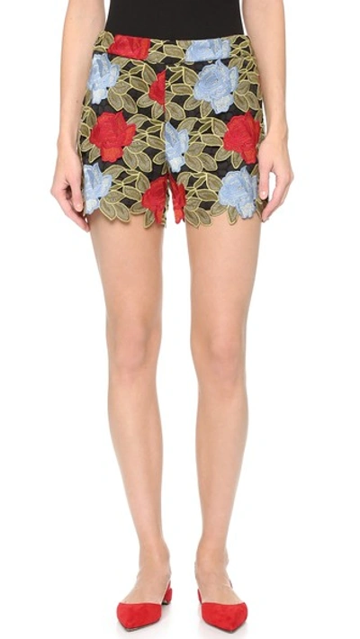 Alice And Olivia Amaris High Waisted Lace Shorts In Multi