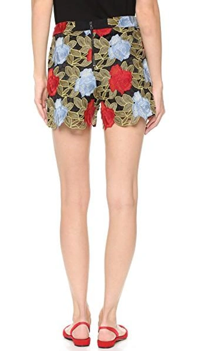 Shop Alice And Olivia Amaris High Waisted Lace Shorts In Multi