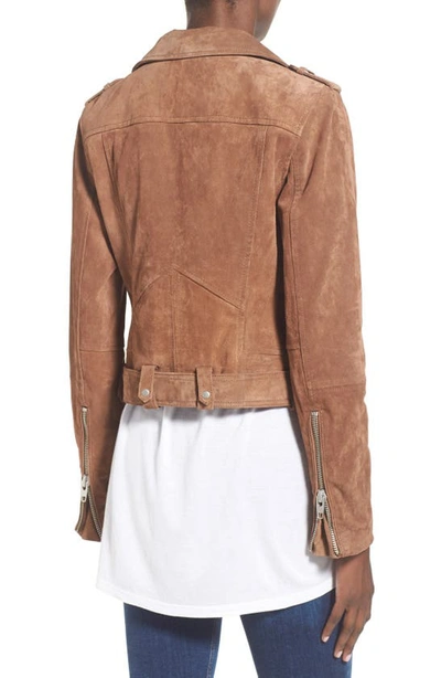 Shop Blanknyc Morning Suede Moto Jacket In Coffee Bean