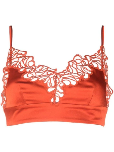 Shop Stella Mccartney Triangle Lace Bra In Red