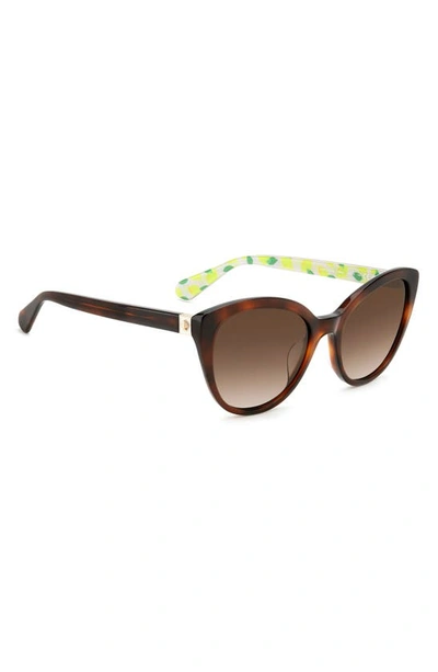 Shop Kate Spade Amberlees 55mm Gradient Eat Eye Sunglasses In Beige/ Brown Gradient