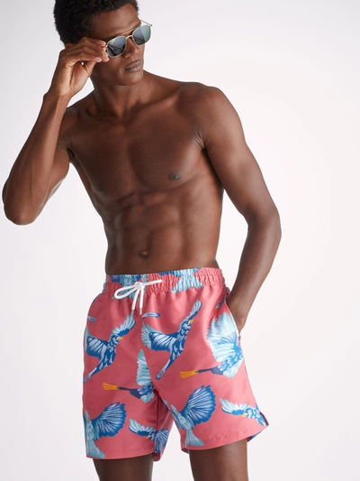 Shop Derek Rose Men's Swim Shorts Maui 54 Multi