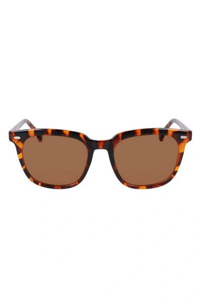 Shop Cole Haan 53mm Square Sunglasses In Tortoise