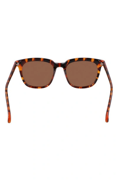 Shop Cole Haan 53mm Square Sunglasses In Tortoise