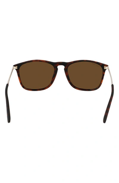 Shop Cole Haan 55mm Square Sunglasses In Matte Tortoise