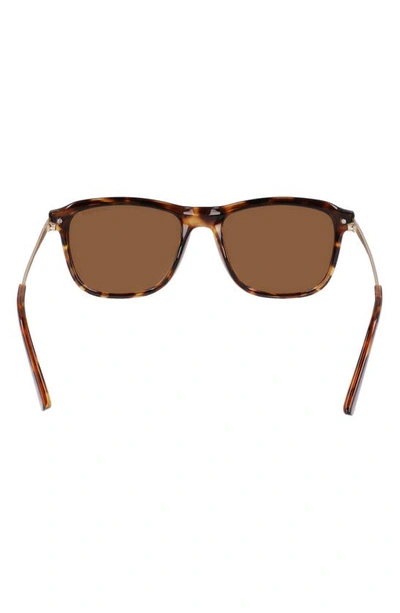 Shop Cole Haan 55mm Square Sunglasses In Tortoise