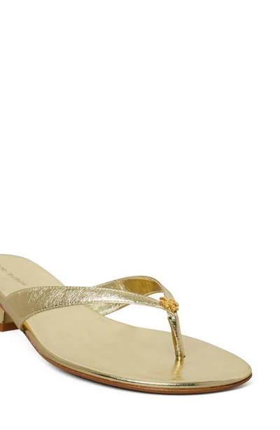 Shop Tory Burch Capri Kitten Heel Sandal In Gold