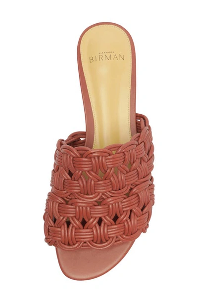 Shop Alexandre Birman Sammy Slide Sandal In Cinnabar