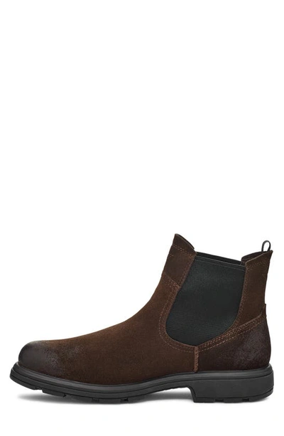 Shop Ugg Biltmore Waterproof Chelsea Boot In Dusted Cocoa