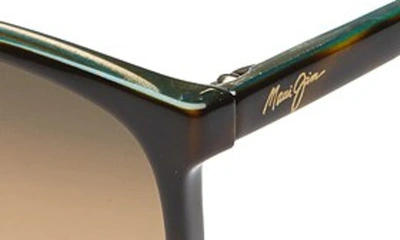 Shop Maui Jim Ocean 57mm Polarizedplus2® Sunglasses In Tortoise/ Peacock/ Hcl Bronze