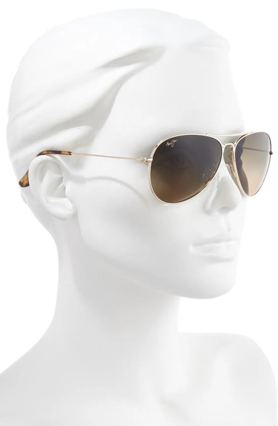 Shop Maui Jim Mavericks 61mm Polarized Oversize Aviator Sunglasses In Gold/ Bronze