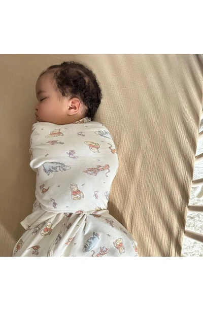 Shop Halo Sleepsack™ Swaddle In Winnie Frolic